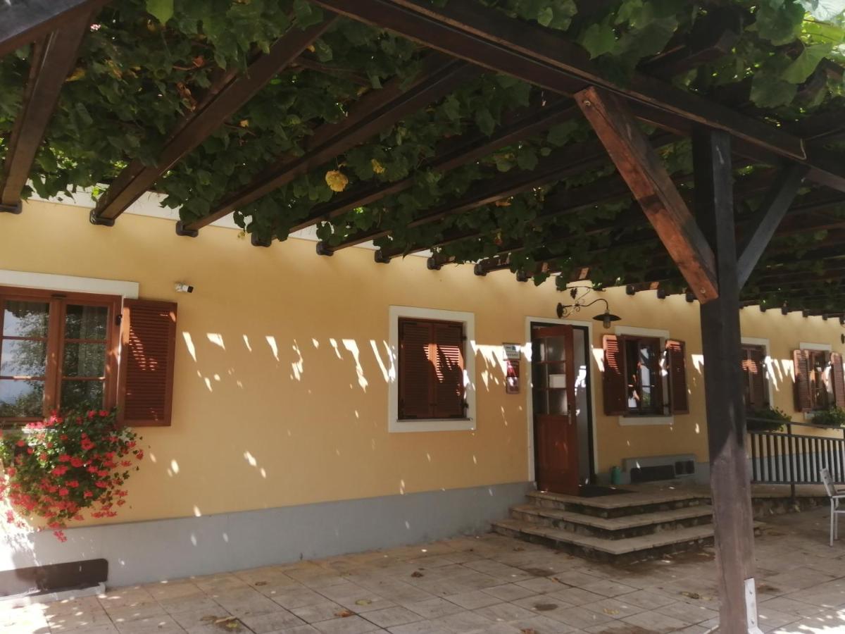 Apartmaji Svetinje Apartment Ivanjkovci Bagian luar foto