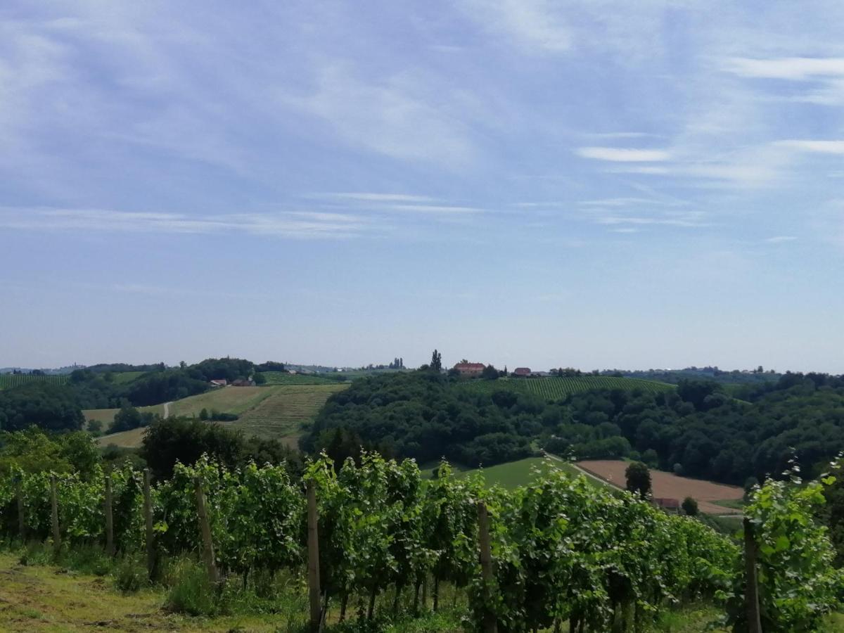 Apartmaji Svetinje Apartment Ivanjkovci Bagian luar foto