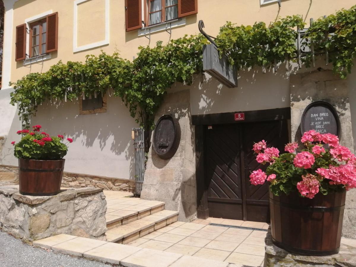 Apartmaji Svetinje Apartment Ivanjkovci Bagian luar foto