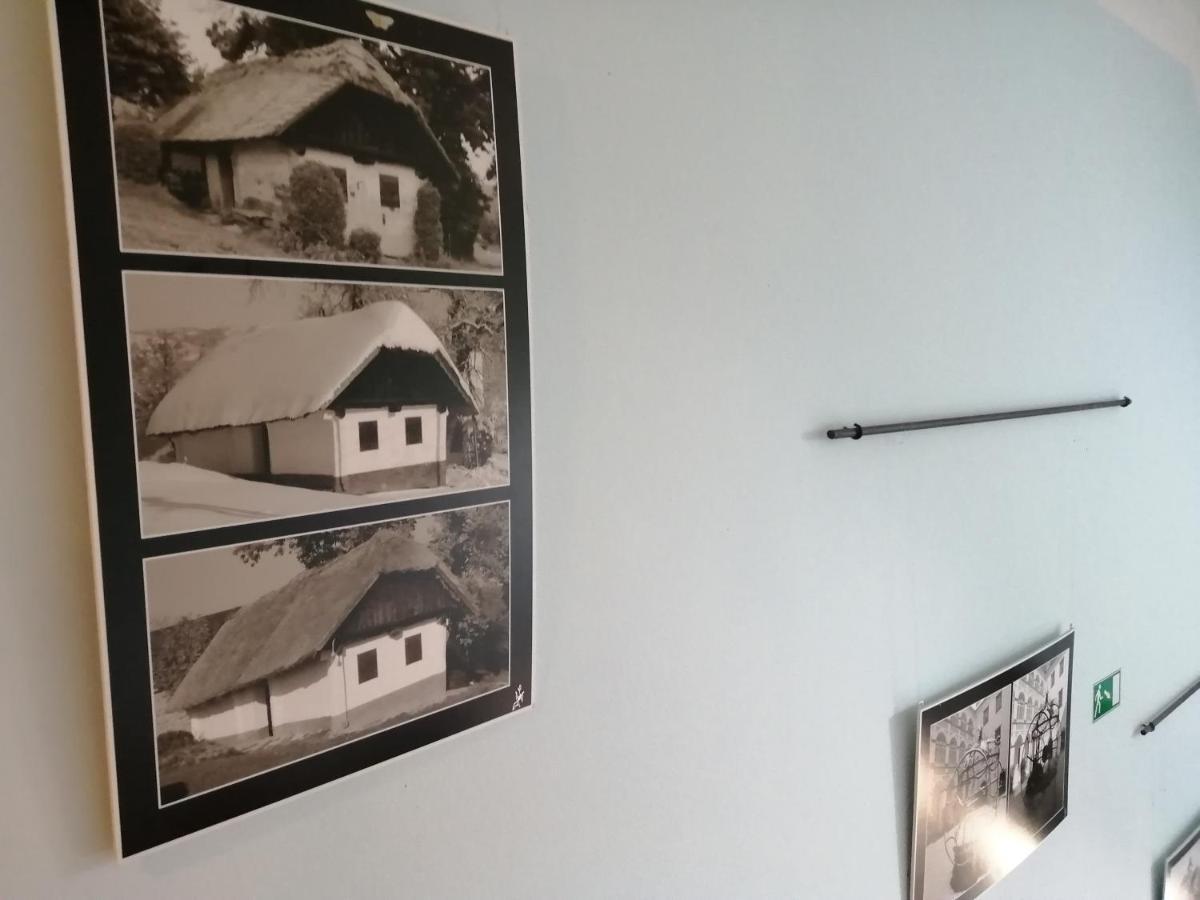Apartmaji Svetinje Apartment Ivanjkovci Bagian luar foto