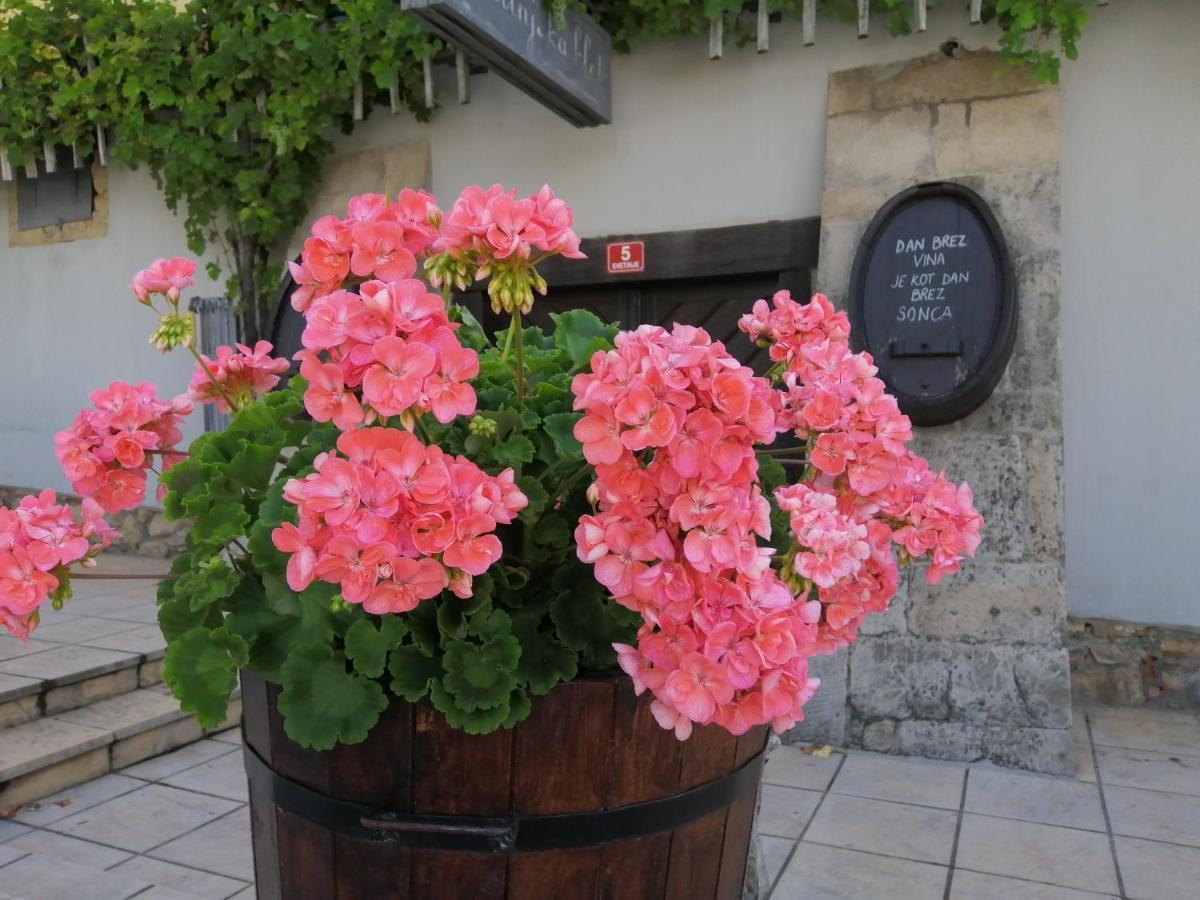 Apartmaji Svetinje Apartment Ivanjkovci Bagian luar foto